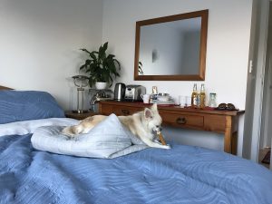 IMG_3091