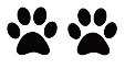 Paw print x 2