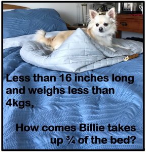 How comes Billie takes up the bed